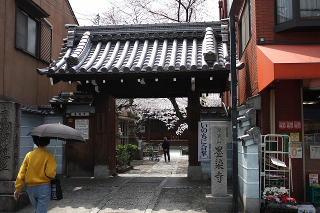 東方聖地巡礼 京都墨染寺の桜写真 西行寺幽々子の元ネタ フィギュアレビュー通販予約 Figmaねんどろいど情報